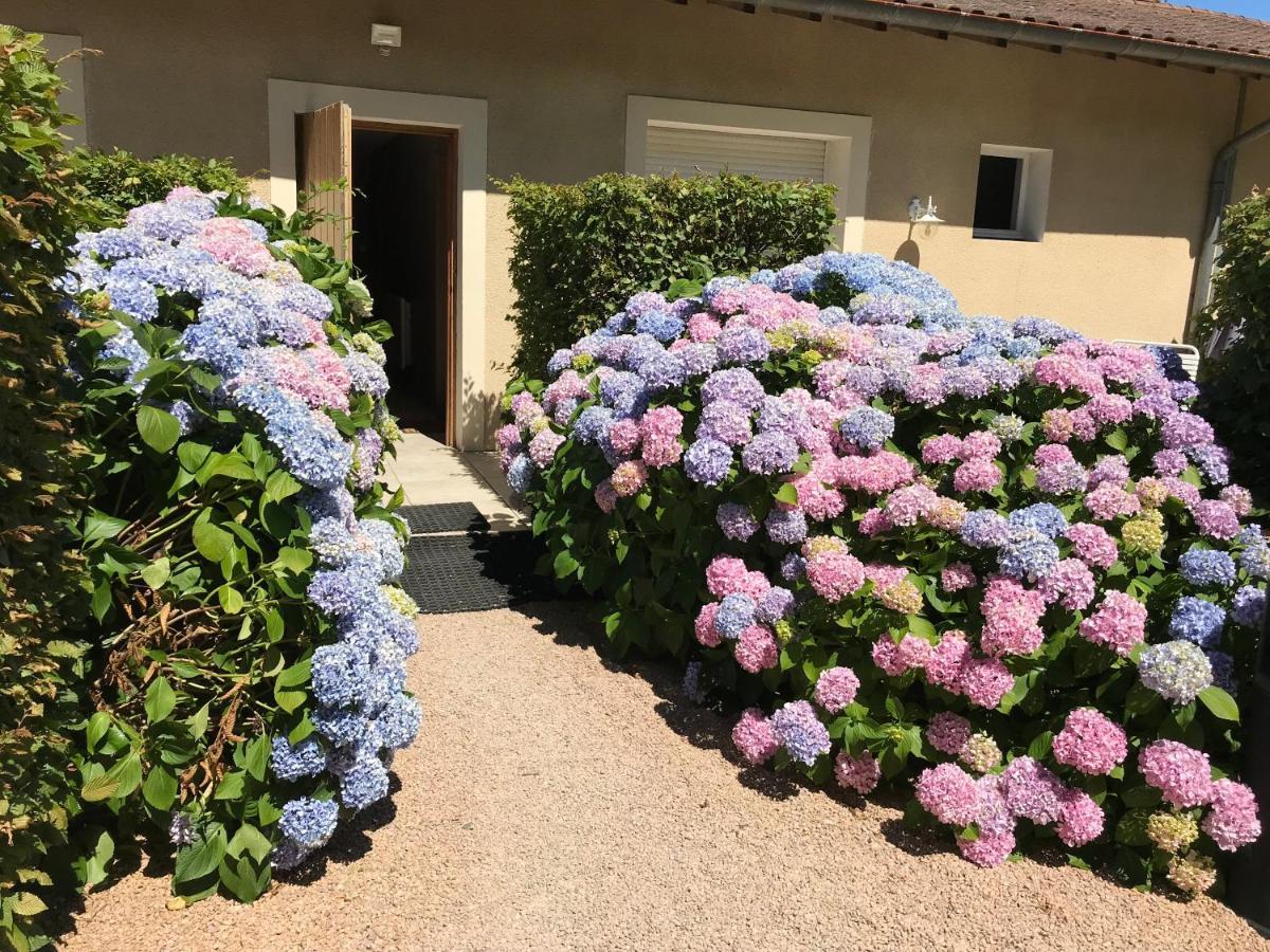 Auberge Les Hauts De Chénas エクステリア 写真