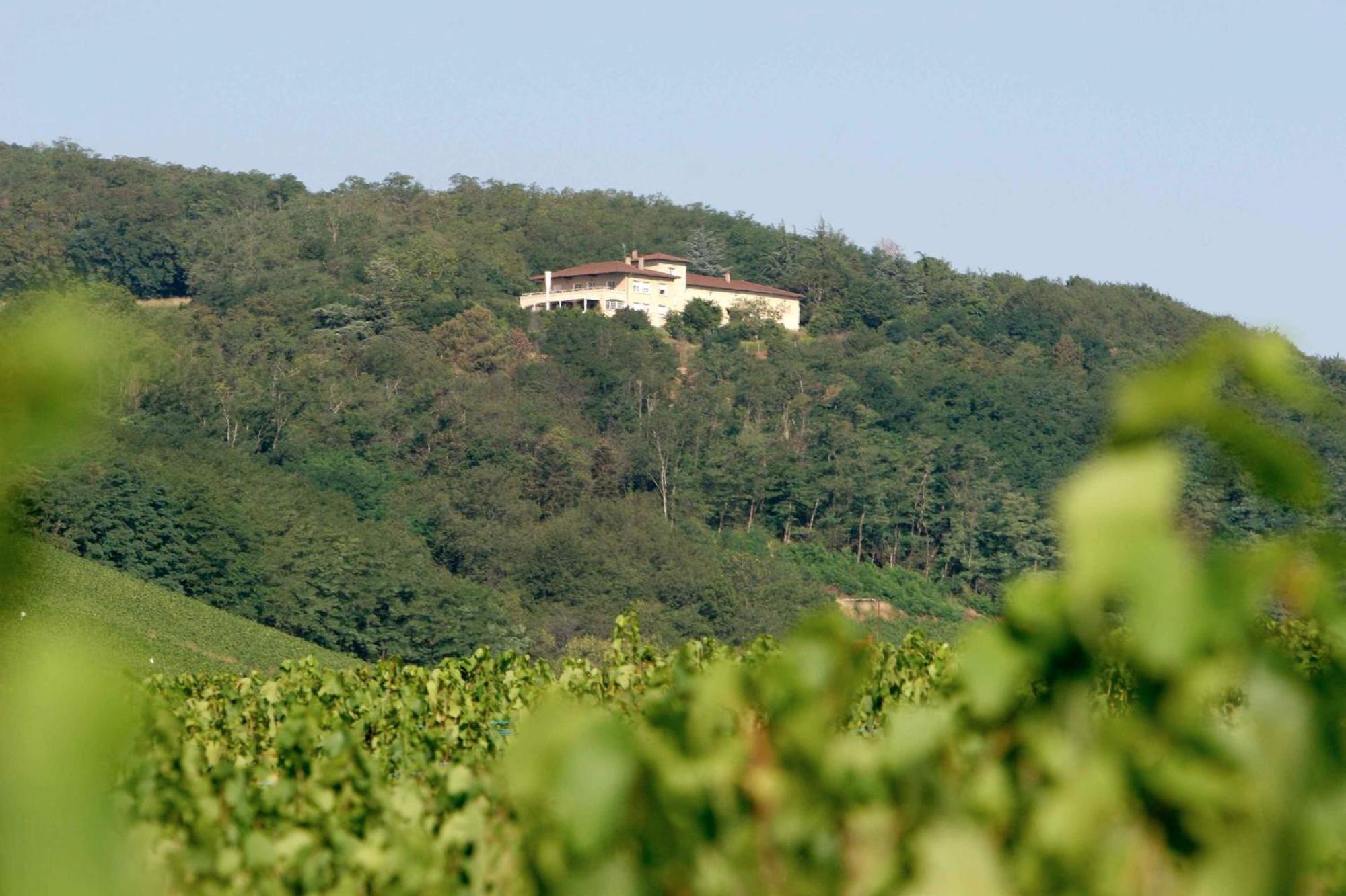 Auberge Les Hauts De Chénas エクステリア 写真